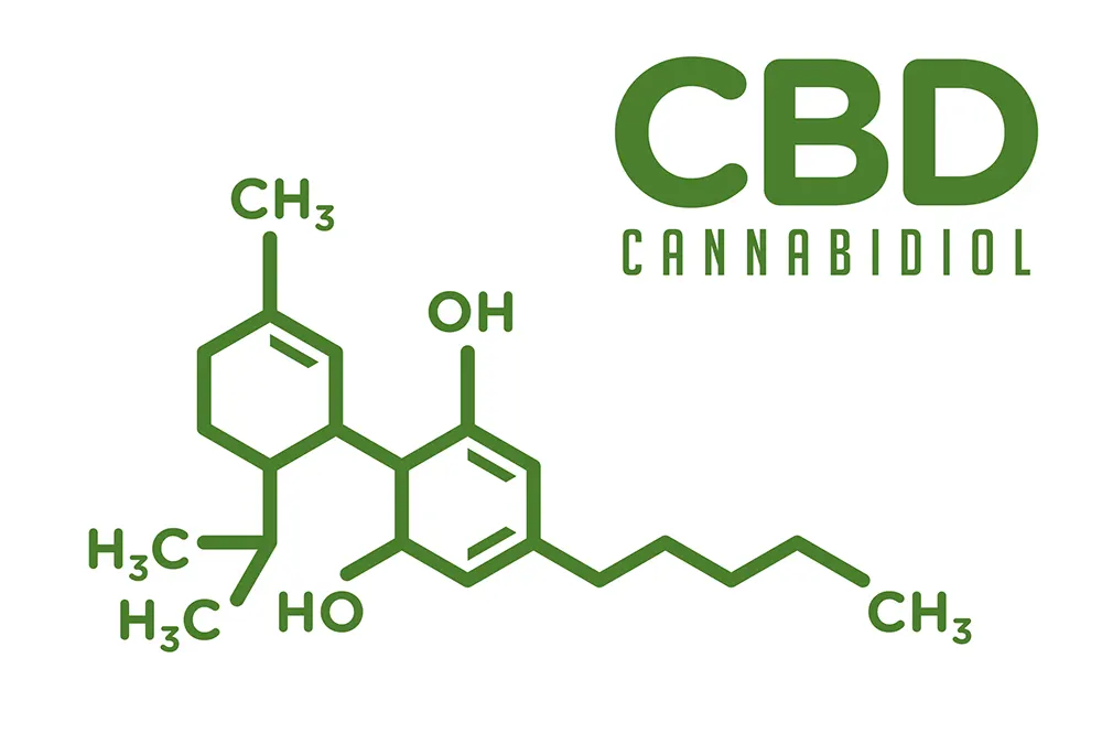 You are currently viewing Cannabidiol (CBD) : une molécule thérapeutique aux multiples usages